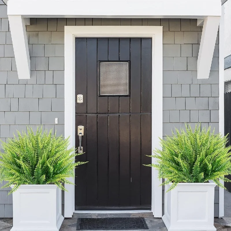 Boston Fern Greenery