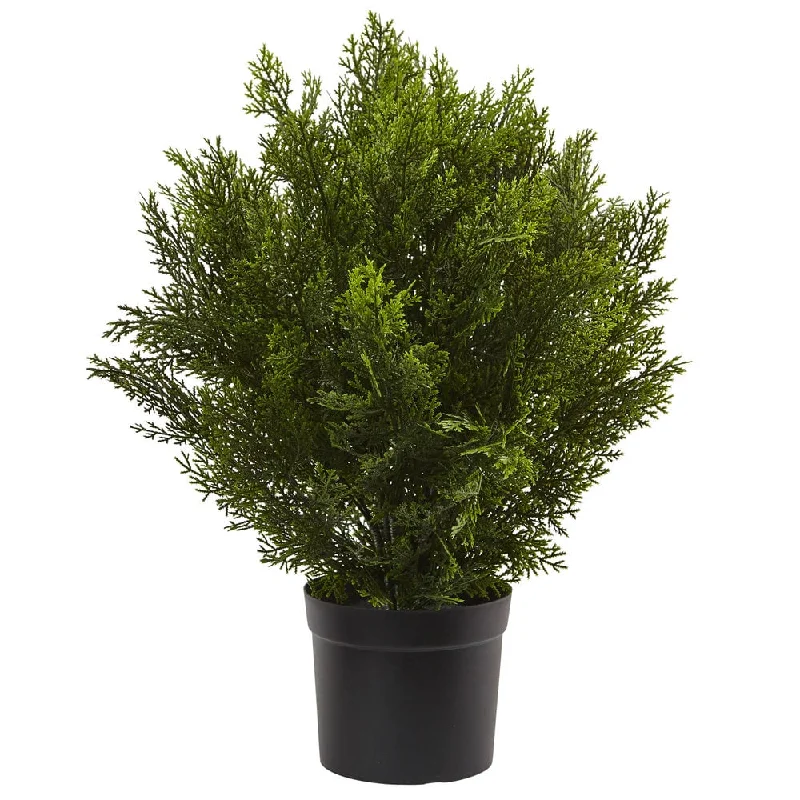 2-foot Indoor/Outdoor Cedar Bush - Green