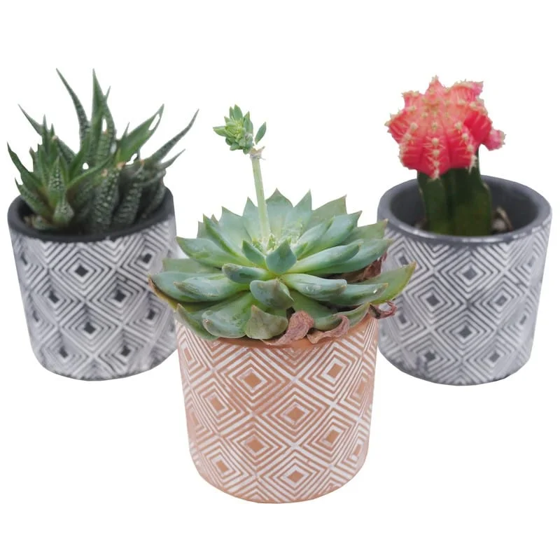 Set of 3 Modern 3" Ceramic Flower Plant Planters, Ceramic Pot Planter Indoor Ceramic, Decorative Planter