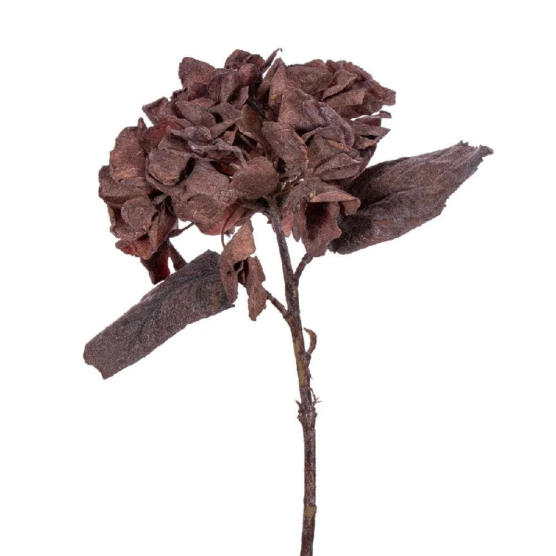 Vickerman 13" Dark Brown Artificial Dried Hydrangea Spray, 6 per bag.