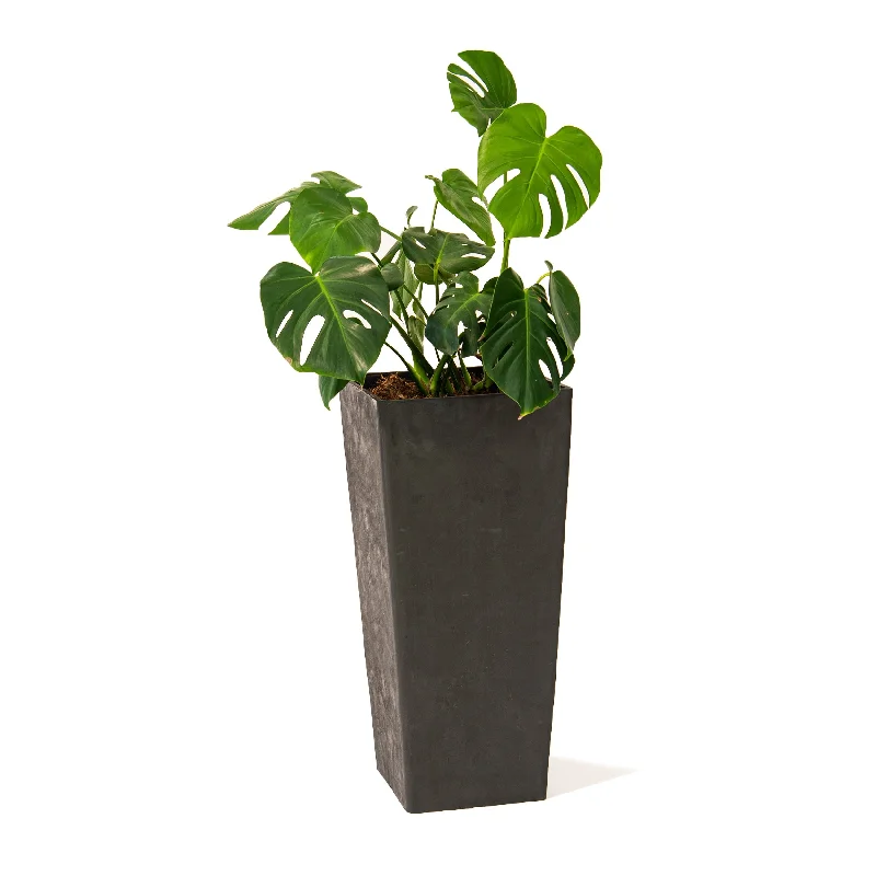 XBrand Modern 28-Inch Tall Square Modern Tapered Indoor & Outdoor Planter